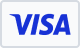 Visa icon
