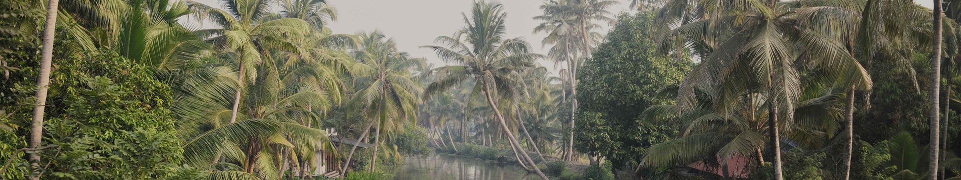 decode ayurveda banner image