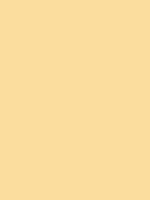 Kumkumadi collection background colour