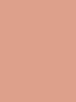 amarrupa collection background colour