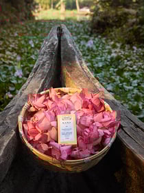 Kama Ayurveda collection