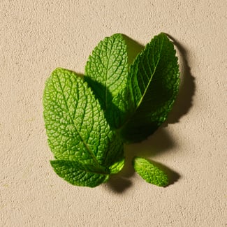 Arrow Leaf ingredient