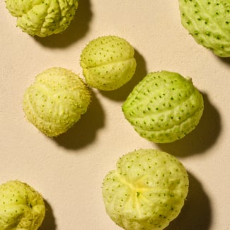 Balloon Vine Ingredient