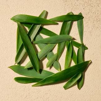 False Daisy Ingredient