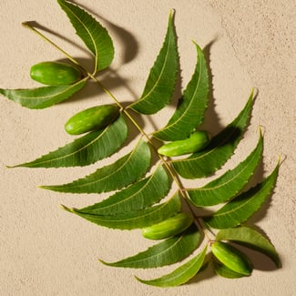 Neem ingredient