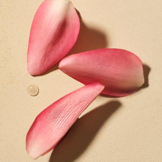 Sacret Lotus Ingredient