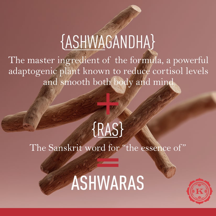 KAMA ASHWARAS LEAVE-IN OIL 100ML