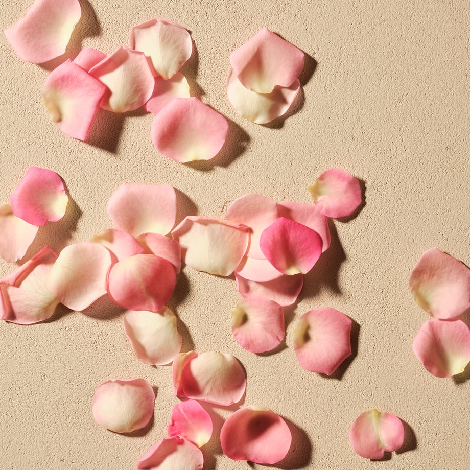 Rose Ingredient image